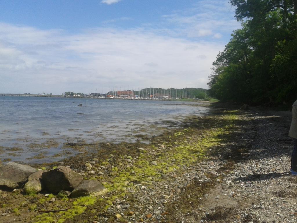 Ostsee Reetkate Langballig Ngoại thất bức ảnh
