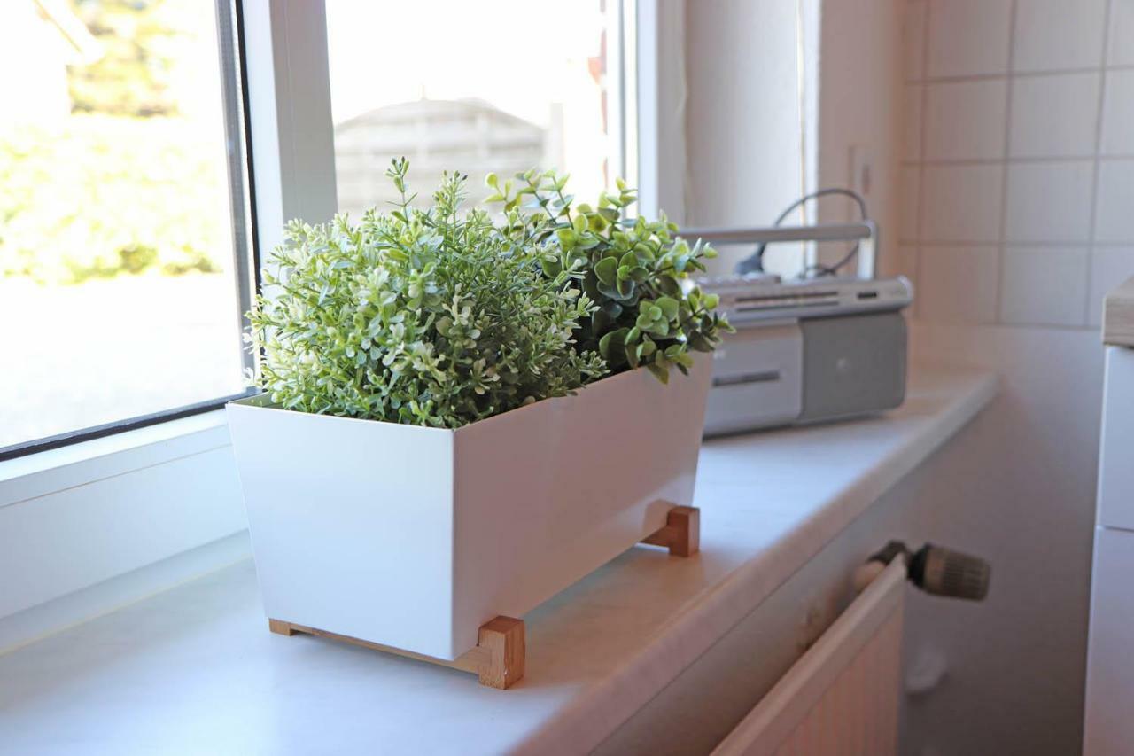 Ostsee Reetkate Langballig Ngoại thất bức ảnh